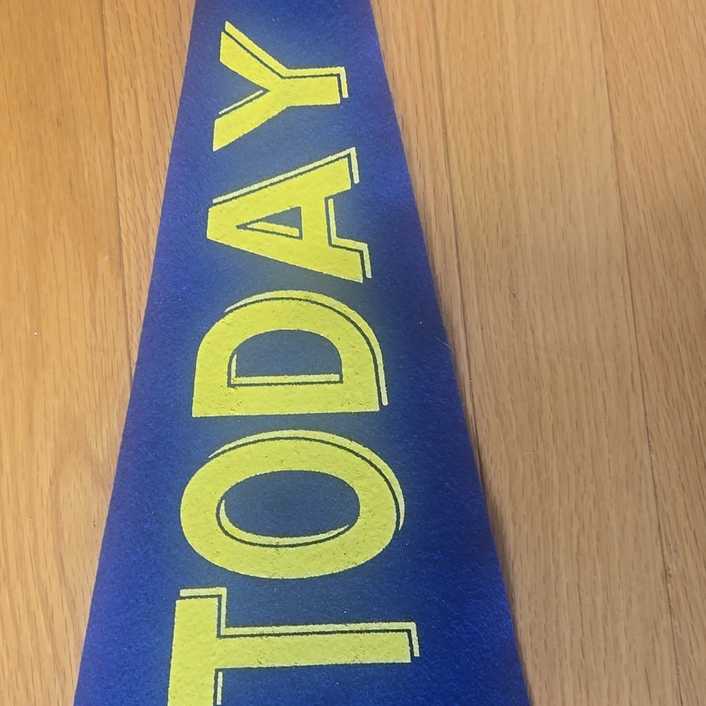 Not Today Pennant - Picture 4 of 4